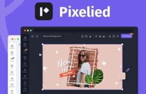 Pixelied Review -2024